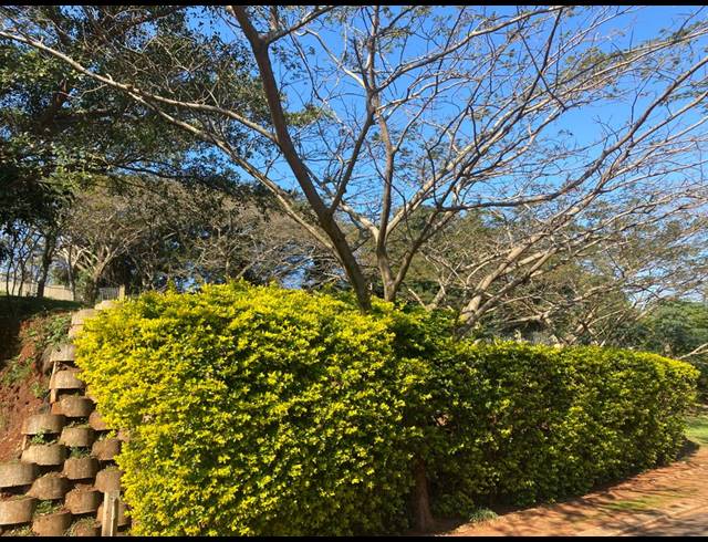 713M² VACANT LAND FOR SALE IN ILLOVO BEACH